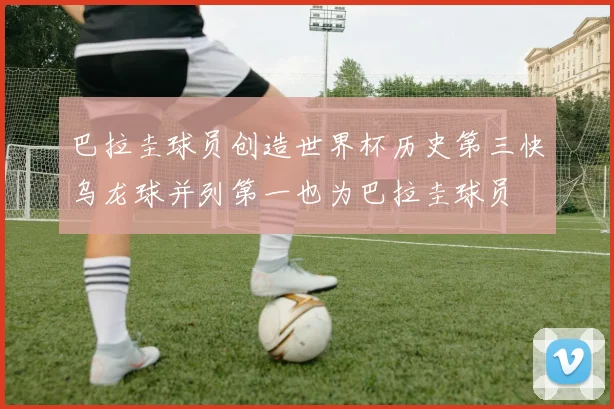 巴拉圭球员创造世界杯历史第三快乌龙球并列第一也为巴拉圭球员